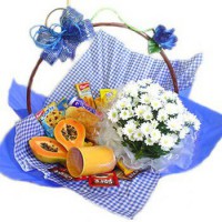 /album/presentes-especiaisl/cesta-de-cafe-da-manha-azul1-jpg/